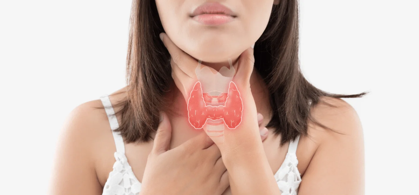 Tiroid Bezi Ne İşe Yarar?